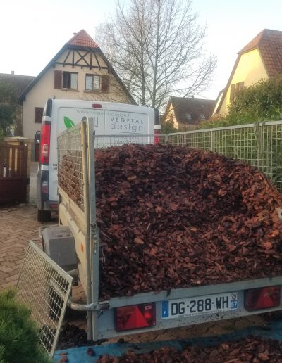 livraison-de-copeau-de-pin-maritime